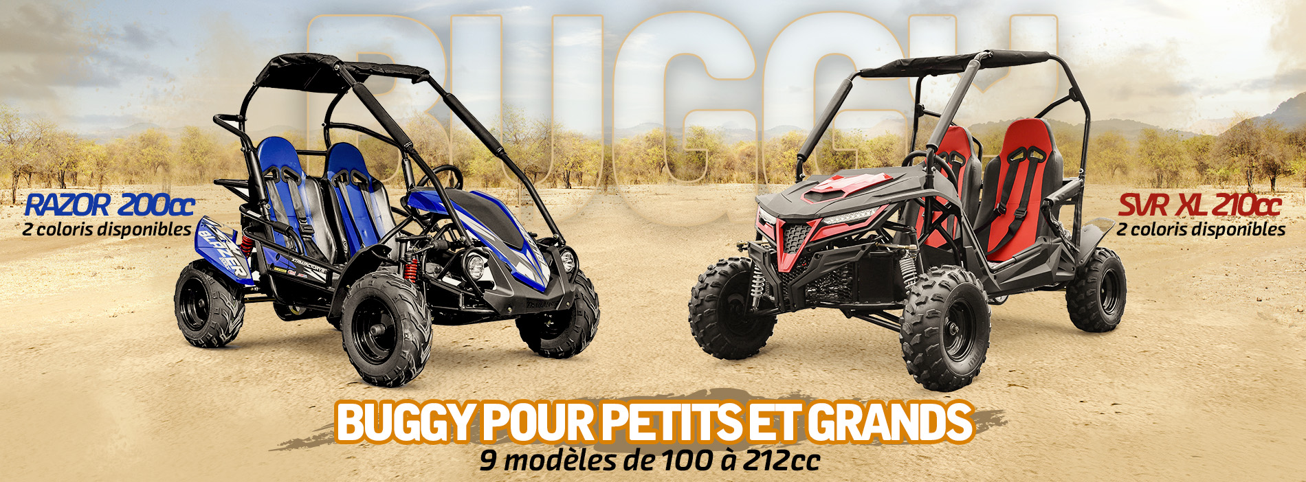Buggy 2022